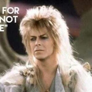 Meet your Posher, Posh